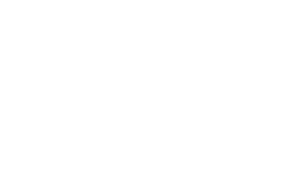 fairport solstice logo white